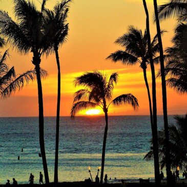 O Havai propõe uma taxa turística para financiar a proteção do ambiente
