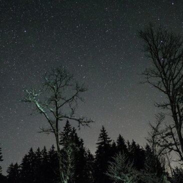 Delícias celestiais: O céu noturno de fevereiro oferece um espetáculo estelar