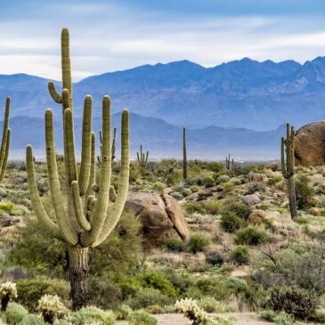 Visto para o Arizona